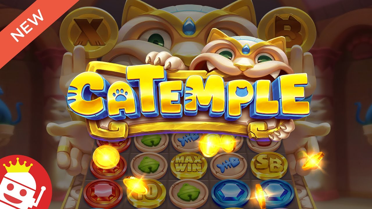 Exploring the Community Around Catemple Slot